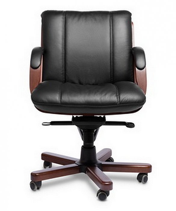 Элитное офисное кресло CANNES B - вид 2